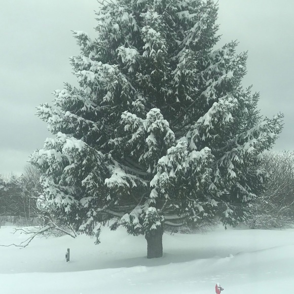 Meet your Posher, Joleta - Picture 1 of 1